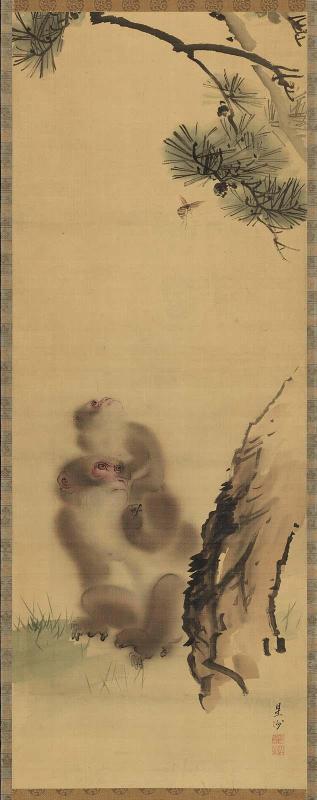 Monkeys Under a Pine Tree