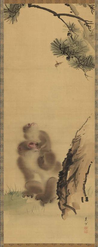 Monkeys Under a Pine Tree