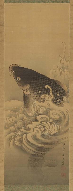 Carp