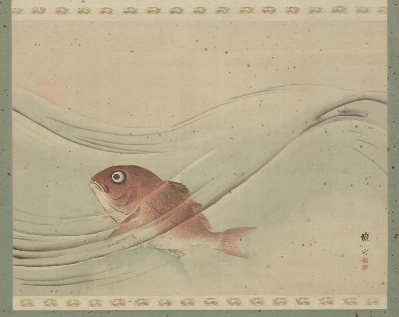 Sea Bream