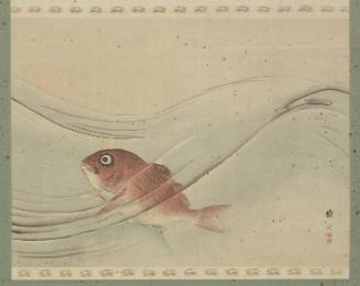 Sea Bream