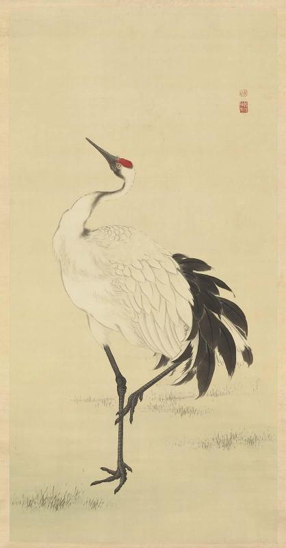 Red-Crested Crane