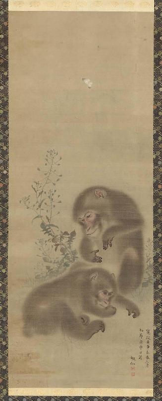Monkeys with Butterfly
