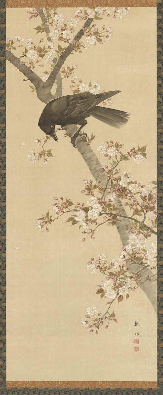 Crow on a Cherry Tree