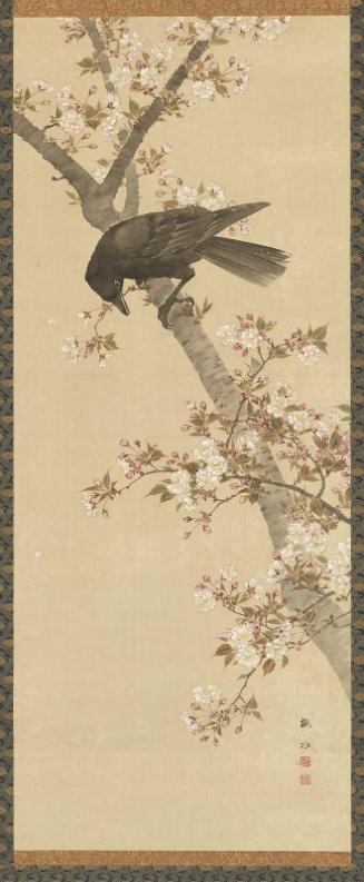 Crow on a Cherry Tree