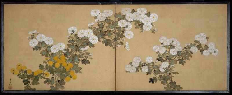 Chrysanthemums
