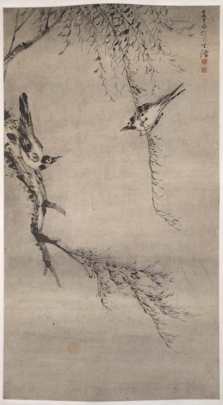 Two magpies playing in a willow tree