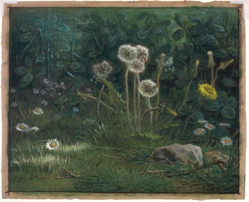 Dandelions