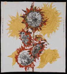 Conservation status: Before treatment