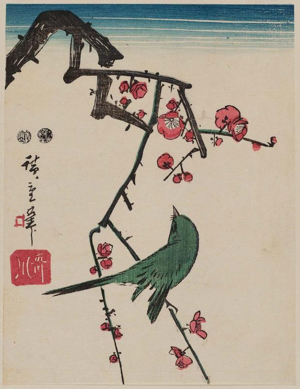 Warbler on Red Plum Branch