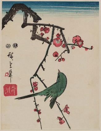 Warbler on Red Plum Branch