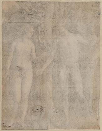 The Fall of Man (Adam and Eve)