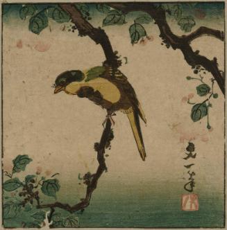 Bird on Branch