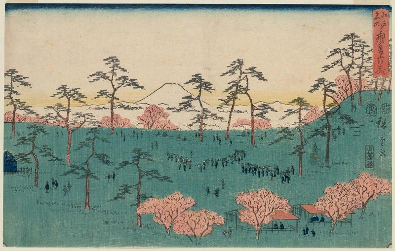 Cherry Blossoms at Asuka Hill (Asukayama no hana), from the series Famous Places in Edo (Edo meisho)