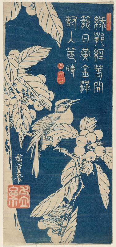 Bird and Loquat
