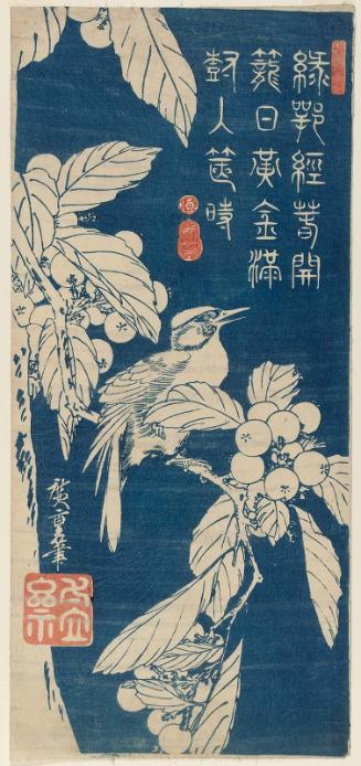 Bird and Loquat