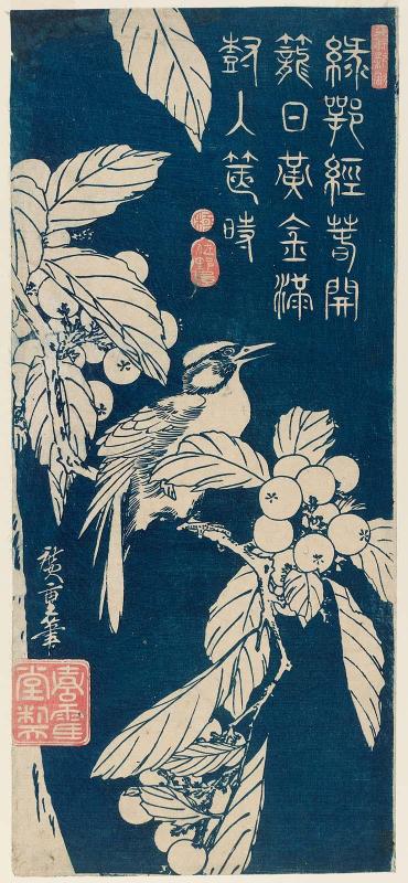 Bird and Loquat