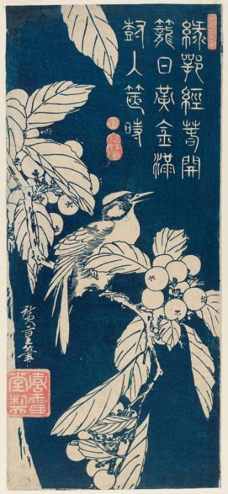 Bird and Loquat