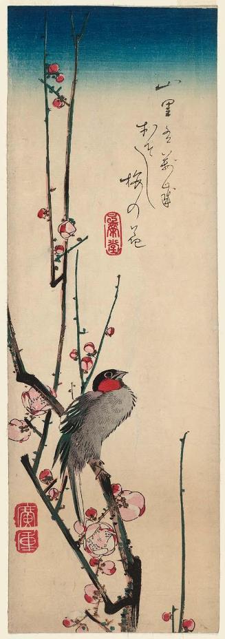 Red-cheeked Bird and Red Plum Blossoms