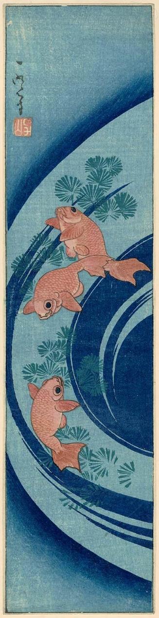 Goldfish and Water Plants