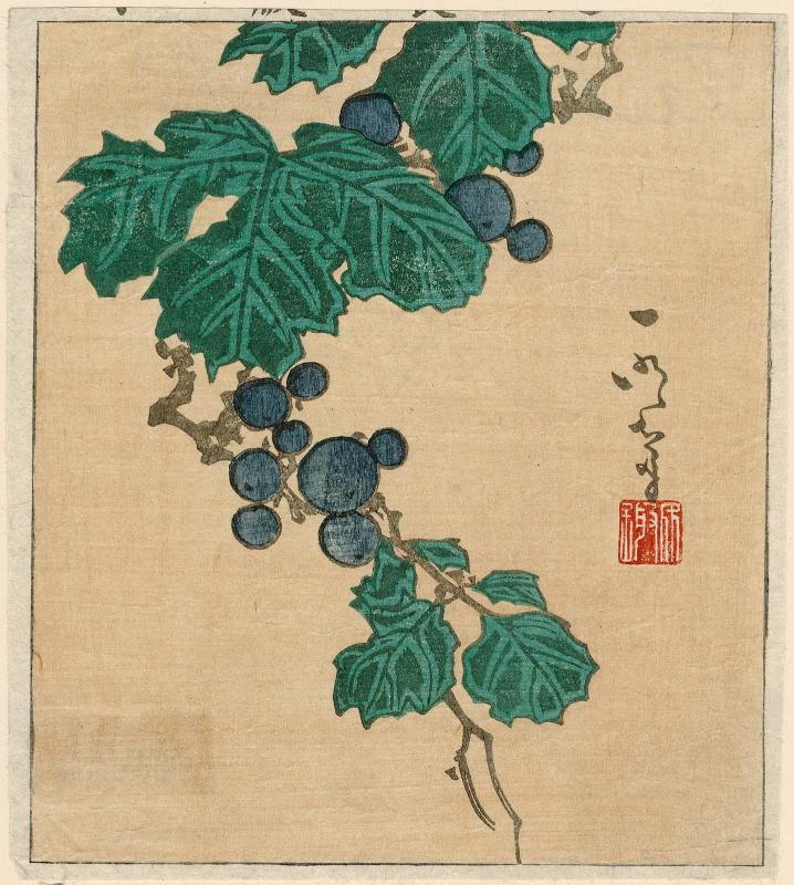 Grapes