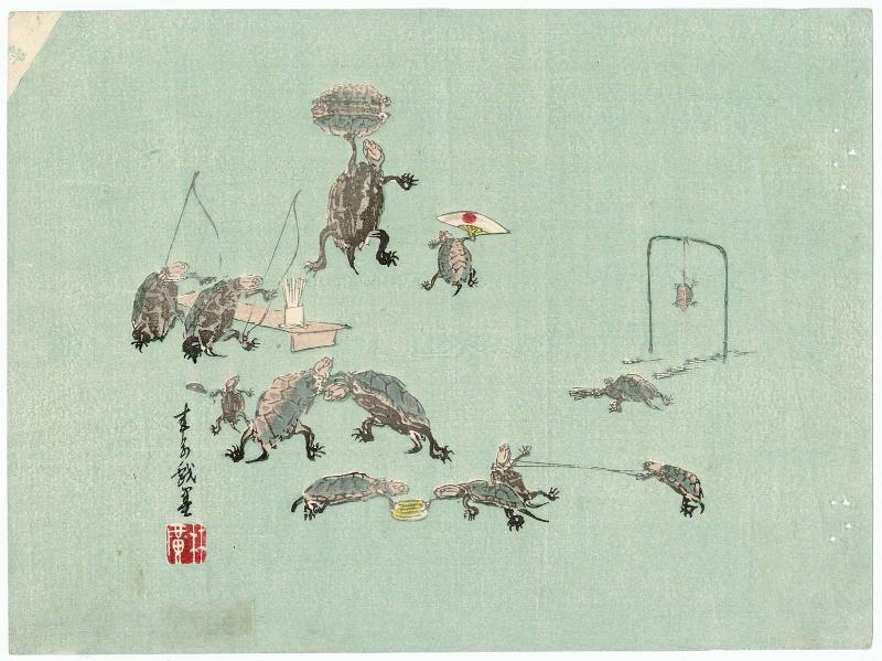 Athletic Contests of Turtles