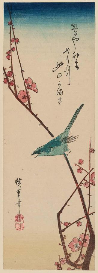 Warbler on Red Plum Branch