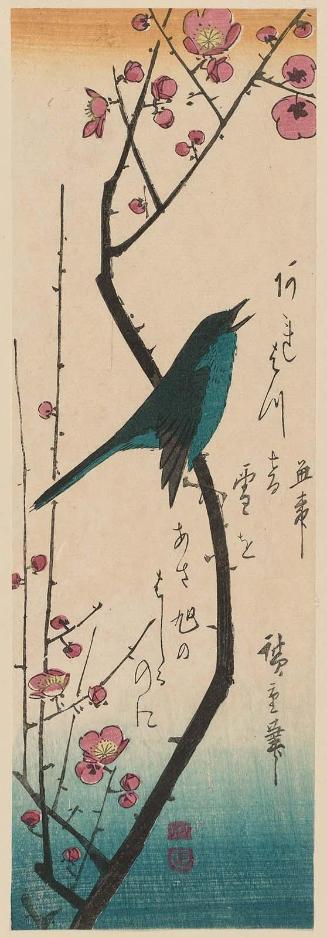 Warbler on Red Plum Branch