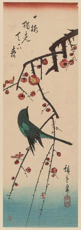Warbler on Red Plum Branch