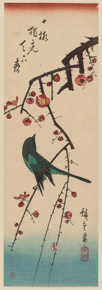 Warbler on Red Plum Branch
