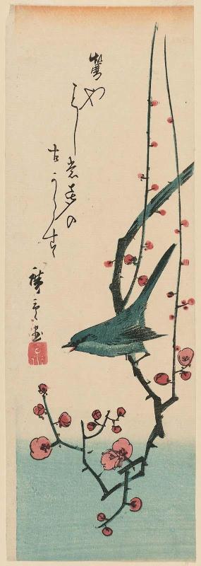 Warbler on Red Plum Branch