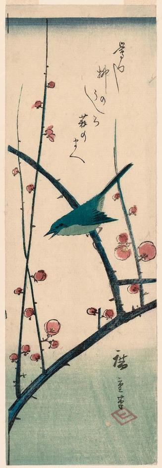 Warbler on Red Plum Branch