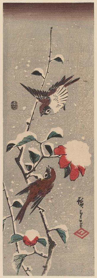 Camellia and Sparrows in Snow