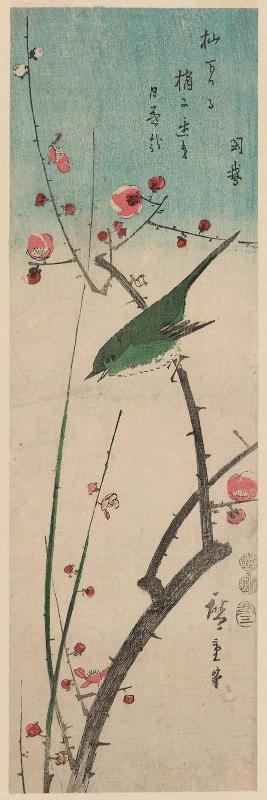 Warbler on Red Plum Branch