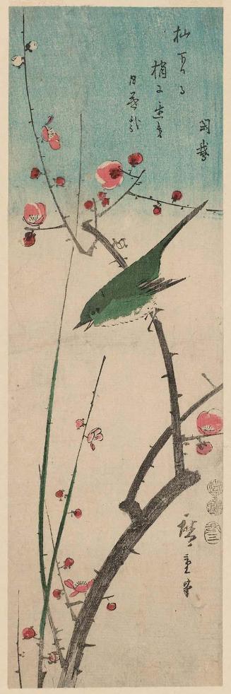 Warbler on Red Plum Branch