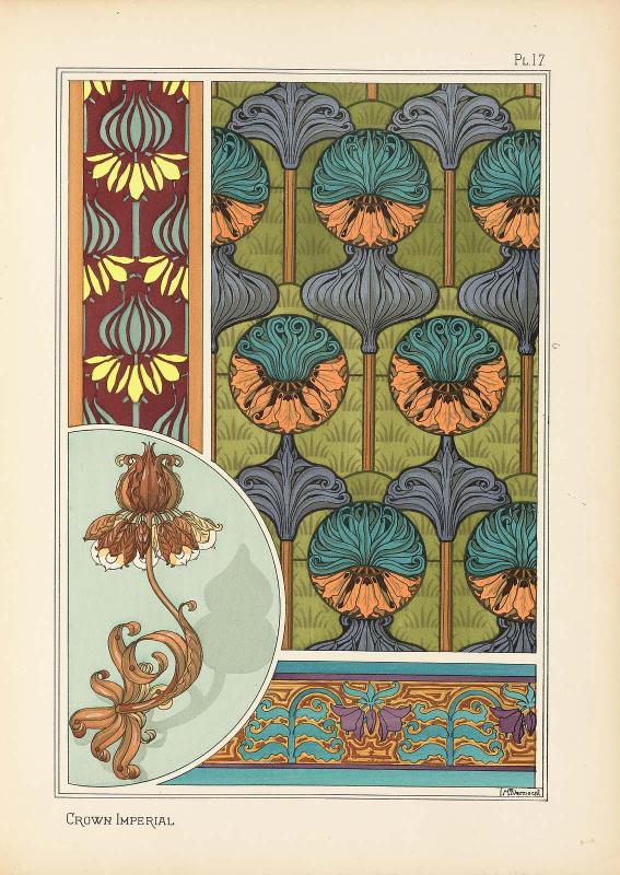 Plate 17