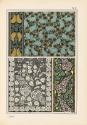 Plate 51