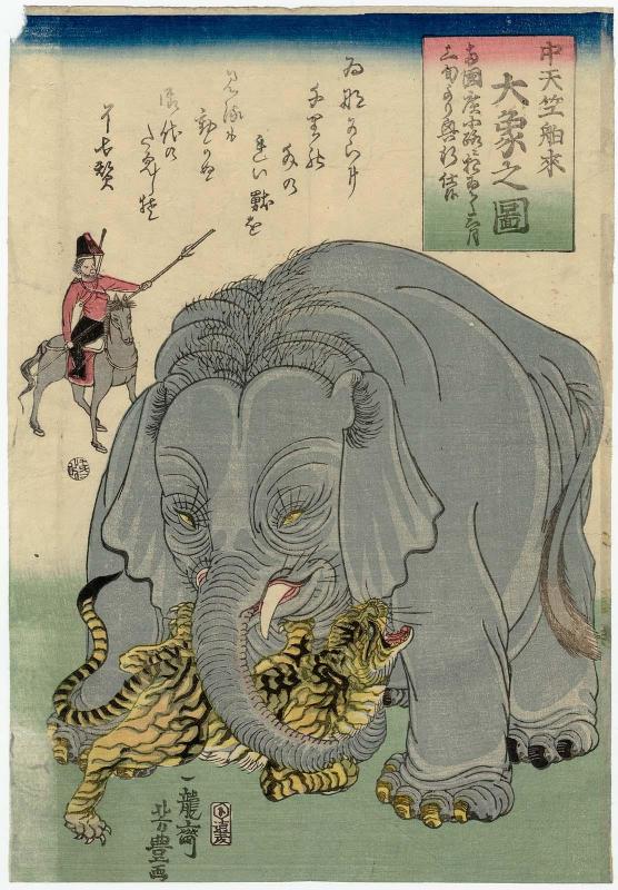 The Great Elephant Imported from Central India (Chû Tenjiku hakurai dai zô no zu)