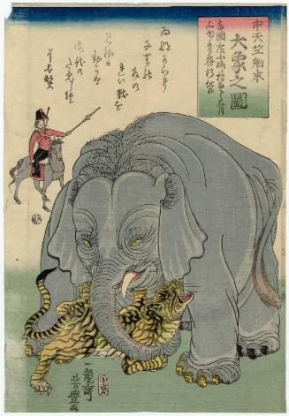The Great Elephant Imported from Central India (Chû Tenjiku hakurai dai zô no zu)