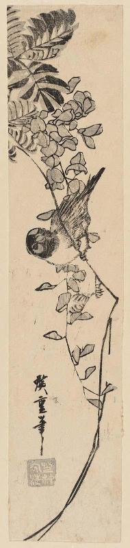 Sparrow and Wisteria