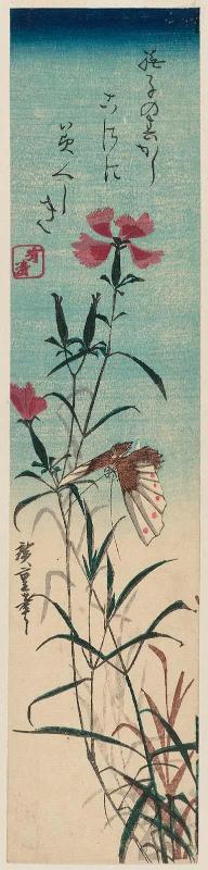 Pinks and Butterfly