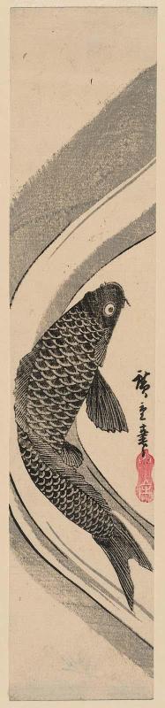 Carp in Water