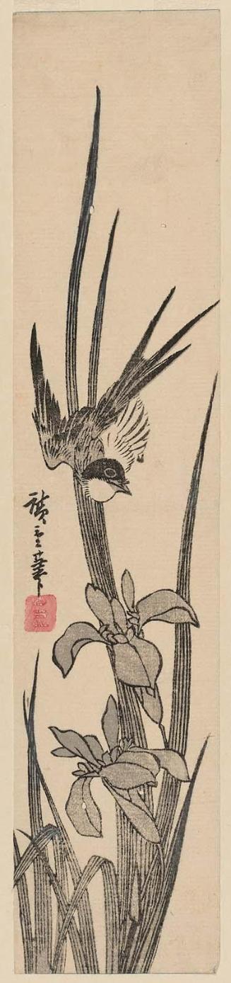 Swallow and Iris