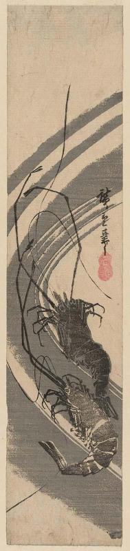 Two Shrimp in Seaweed