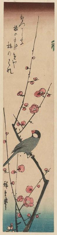 Finch on Red Plum Branch