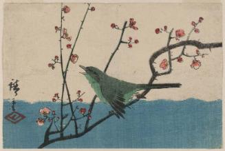 Warbler on Red Plum Branch