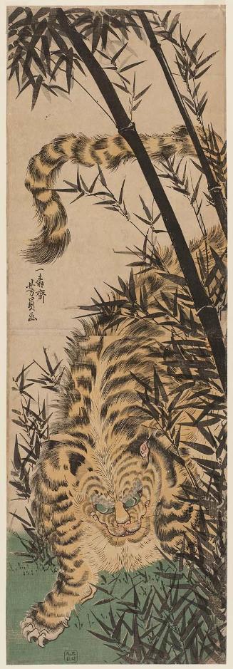 A Tiger in a Bamboo Grove
