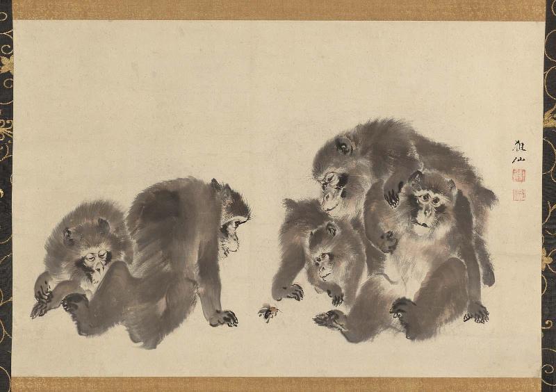 Monkeys with a Bee