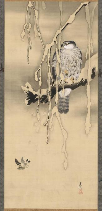 Hawk and the Warming Bird