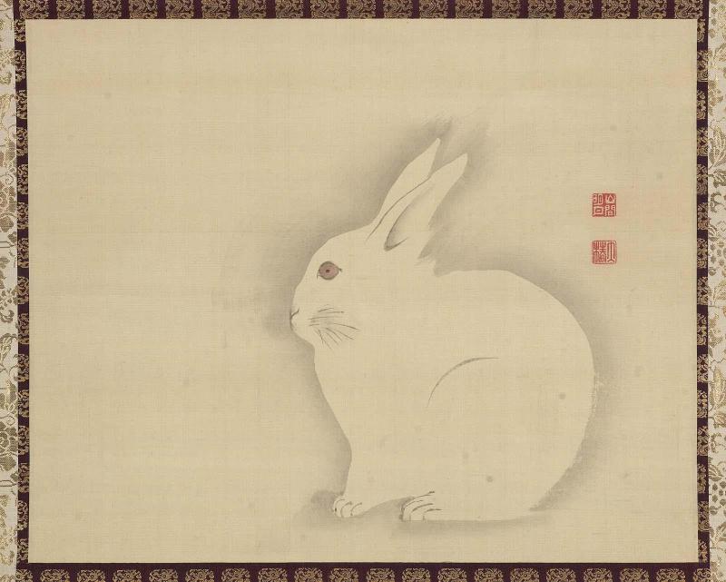 Rabbit
